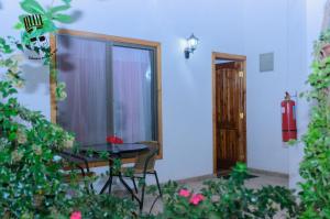 Jardin de l'établissement Hostal y Cabañas Aorangi