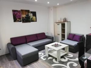 a living room with two couches and a coffee table at Rooms Jelena in Zrenjanin