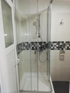 a shower with a glass door in a bathroom at Rooms Jelena in Zrenjanin