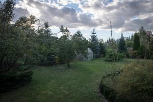 a yard with an apple tree in the grass at Motelik Julia in Siedlce