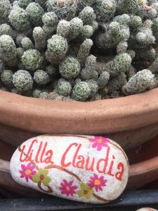 ハベアにあるVilla Claudiaの鉢の中のサボテン