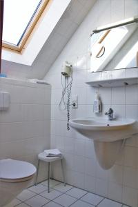 a bathroom with a sink and a toilet and a window at Studentenmühle Hotel - Restaurant in Nomborn