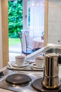 a kitchen counter with two cups and a sink at Apartments and Rooms Villa Vive in Bled