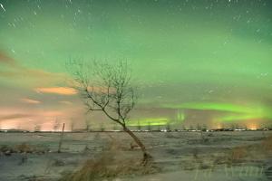 Příroda nedaleko hostelu + 9 fotografií