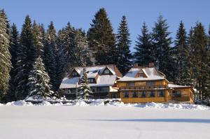 een groot houten huis in de sneeuw met bomen bij Hotel Restaurant Peterle in Feldberg