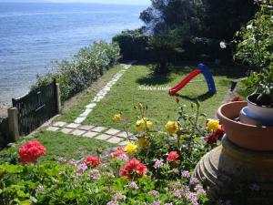 A garden outside Studio Nausica... a sense of paradise!