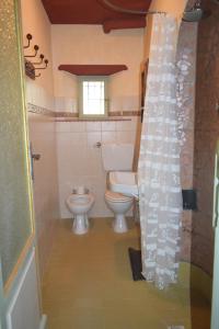 a bathroom with a toilet and a shower curtain at La Calona in Camaiore