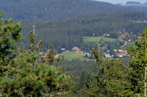 
a mountain range with trees and a house at Hotel Restaurant Peterle in Feldberg

