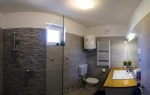 a bathroom with a shower and a toilet and a sink at A lovely and cozy room with a breathtaking view in Vis