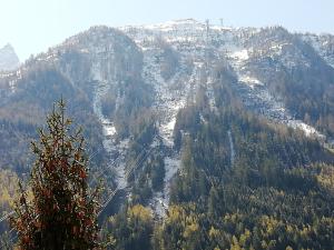 een uitzicht op een berg met bomen en sneeuw bij Champalo in Chamonix-Mont-Blanc