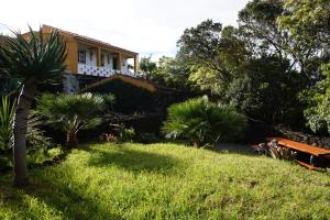 Praia do Norte的住宿－Portugal House，院子里有棕榈树的房子