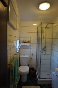 a bathroom with a toilet and a shower at Portugal House in Praia do Norte