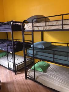 2 łóżka piętrowe w pokoju z żółtą ścianą w obiekcie Auberge Alternative w Montrealu