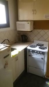 a kitchen with a stove and a microwave at Mendoza Centro 1 dormitorio in Mendoza