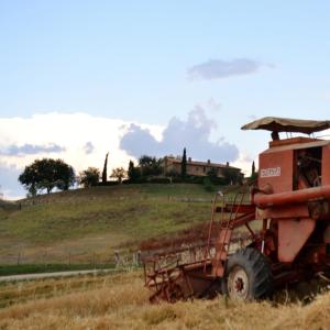 Fotografia z galérie ubytovania Agriturismo Selvella v destinácii Allerona