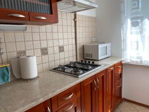 a kitchen with a stove and a microwave at 3 Bedrooms Apartment with Free Parking and River View in Riga