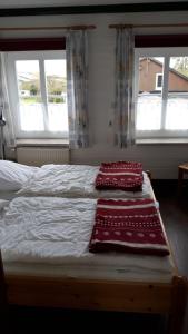 a bed with two pillows on it with two windows at Ferienhaus-fuer-die-Grossfamilie-oder-Gruppenhaus-auf-dem-Ferien-und-Bauernhof-Nielson-in-Inselmitte in Bisdorf