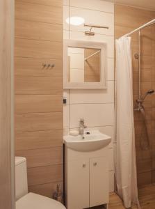ウケンチンにあるNa Leniwych Wodachのバスルーム(洗面台、トイレ、シャワー付)