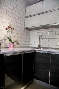 克列緬丘格的住宿－Rosy，厨房配有黑色橱柜和水槽