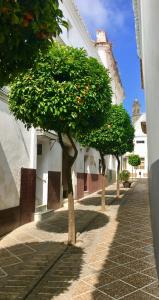 Fotografie z fotogalerie ubytování Número 9 v destinaci Medina Sidonia