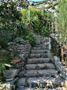 A garden outside Casa San Tomè