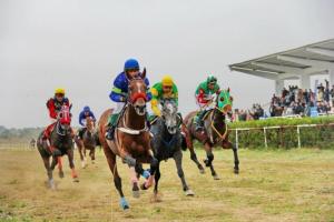 Hosté ubytování Vila Levent Mangalia