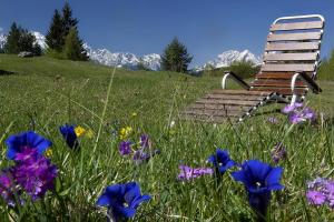 Zahrada ubytování Gästehaus Alpina