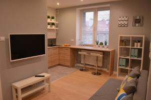 Televízia a/alebo spoločenská miestnosť v ubytovaní Apartament SZTOKHOLM