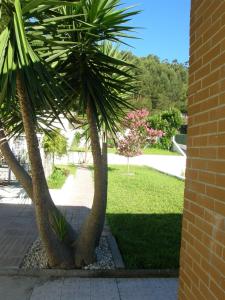 Photo de la galerie de l'établissement CasaJP, à Viana do Castelo