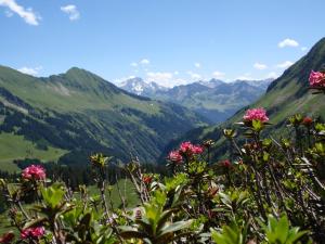 a view of a mountain valley with pink flowers at Boutique Hotel Hohes Licht in Damuls