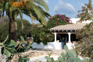 a house with a palm tree and a building with plants at Can Toni Platera in Sant Francesc Xavier