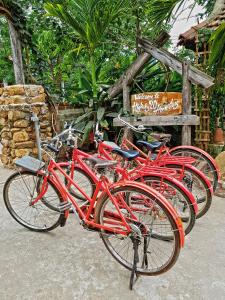 un gruppo di biciclette rosse parcheggiate l'una accanto all'altra di Highway 20 Homestay a Phong Nha