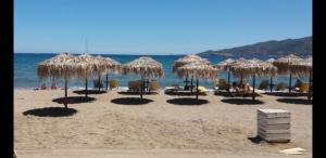 plaża ze słomianymi parasolami i krzesłami oraz oceanem w obiekcie Forest & Sea Apartment w Poros