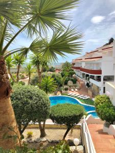 - une vue sur un complexe avec une piscine et des palmiers dans l'établissement Los Palmitos Peñiscola, à Peñíscola