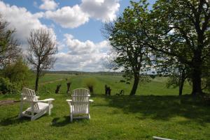 three white chairs sitting in the grass in a field at Ferienhaus Tante Elses - Ruhe & Erholung zwischen den Meeren - gemütliche & stilvolle Ausstattung in Süderhöft