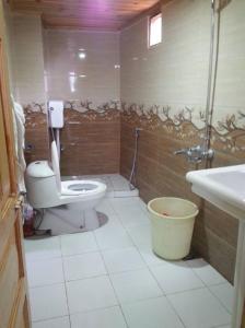 uma casa de banho com um WC e um lavatório em Snowland Hotel em Murree
