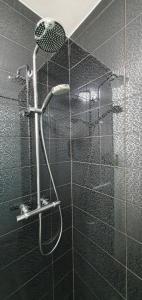 a shower with a shower head in a bathroom at Apartment Alpska Astra in Kranjska Gora