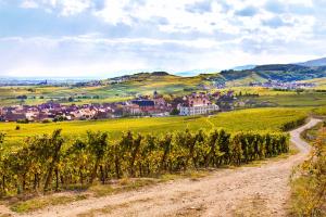 Ảnh trong thư viện ảnh của Chambres d'hôtes François Bleger ở Saint-Hippolyte