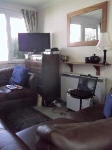 a living room with a couch and a television at Freshwater Bay, 138 in Hodgeston