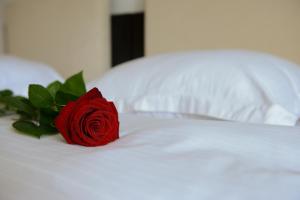 una rosa rossa seduta sopra un letto di Hotel Bulevard Predeal a Predeal
