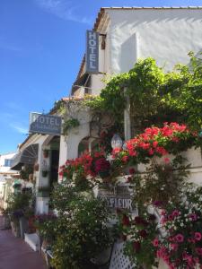 Zahrada ubytování Hotel Le Méditérranée