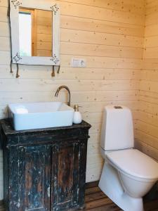 a bathroom with a sink and a toilet at Jaagu-Mihkli Muhu Island in Ridasi