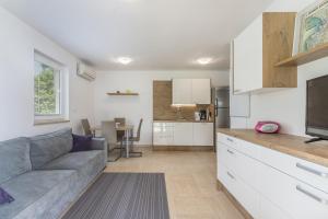 Kuchyň nebo kuchyňský kout v ubytování Holiday Home Jakob