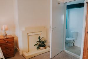 a bathroom with a fireplace and a toilet and a shower at The White Bear in Devizes