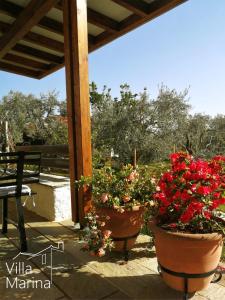2 pots de fleurs assis sur un patio dans l'établissement Villa Marina, Βίλλα Μαρίνα, à Milies