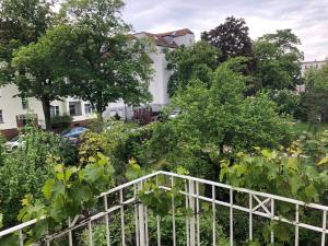 a garden with plants and a white fence at Lioba Drescher Hendel in Berlin