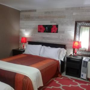 Habitación de hotel con 1 cama y 2 lámparas en Rancha Azul Inn, en Alajuela
