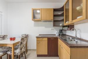 Kuchyň nebo kuchyňský kout v ubytování Holiday Home Jakob
