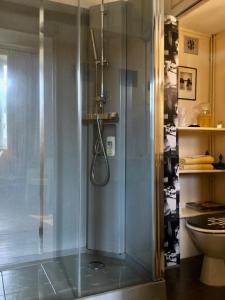 uma casa de banho com um chuveiro e um WC. em AU TEMPS JADIS em Fumay