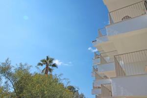 a palm tree in front of a tall building at Aparthotel Niu d´Aus in Portopetro